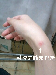 ���ݎE����܂���ł���