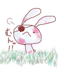 眼帯ウサギ